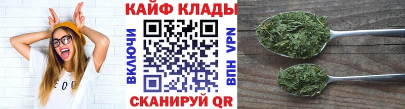 Купить наркотики Закаменск Галлюциногенные грибы  ГАШИШ  СОЛЬ  Каннабис  КОКАИН 