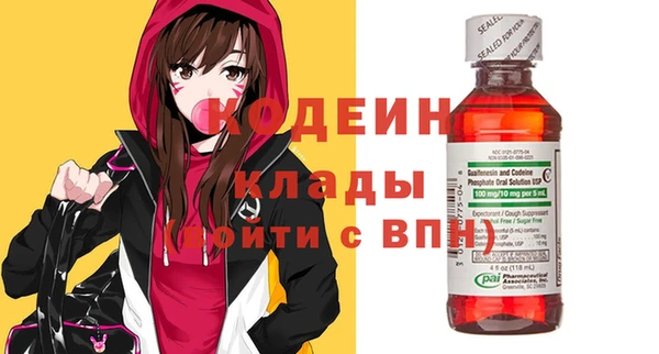 первитин Няндома