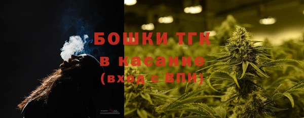 шишки Нязепетровск