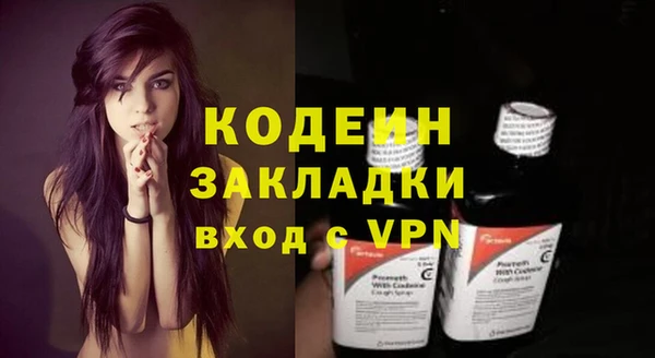 первитин Няндома