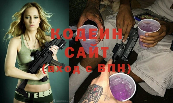 шишки Нязепетровск