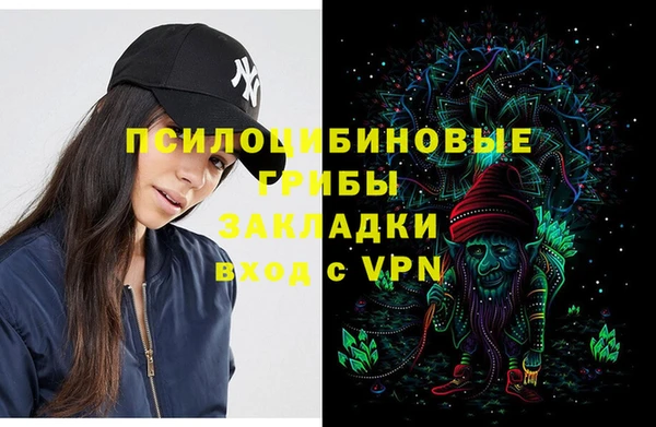 шишки Нязепетровск