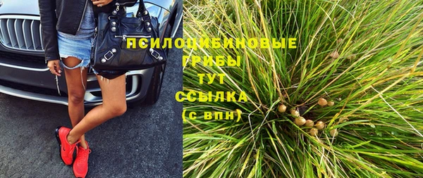 первитин Няндома