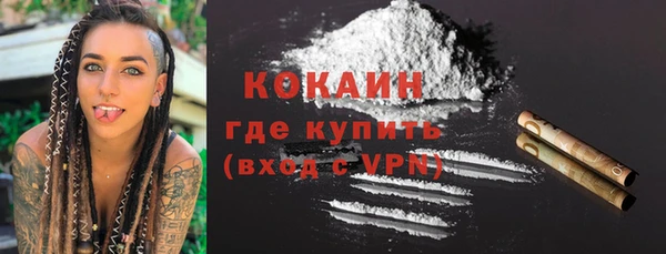 шишки Нязепетровск