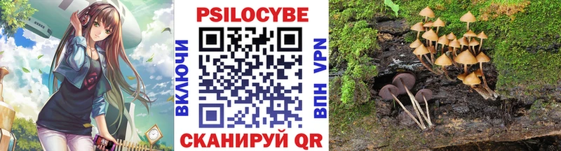 Галлюциногенные грибы мухоморы  мориарти Telegram  Закаменск  где продают  